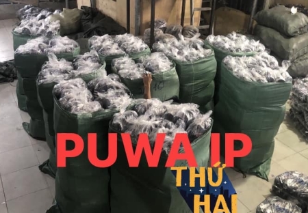 HÌNH ẢNH HOẠT ĐỘNG 1