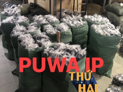 HÌNH ẢNH HOẠT ĐỘNG 1